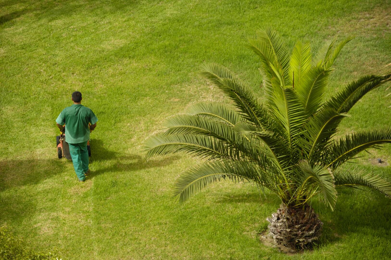 Landscaping Contractor Mansfield TX