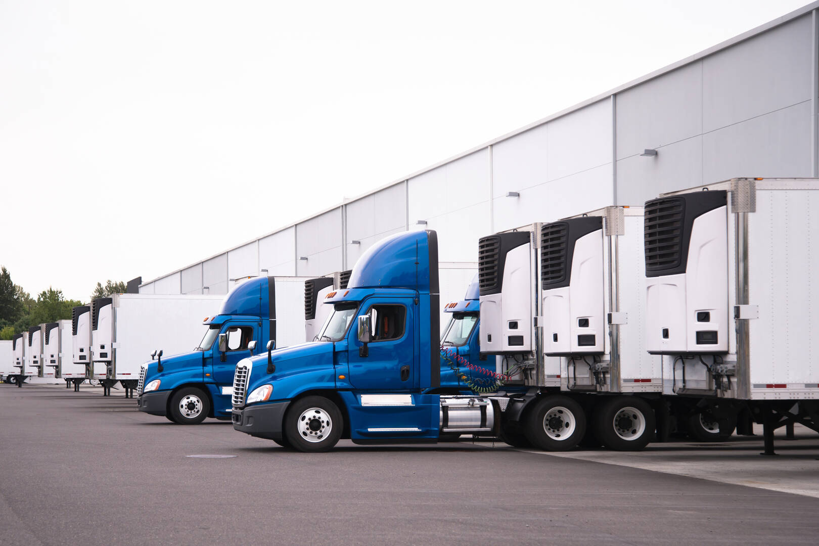 Storage Park llc