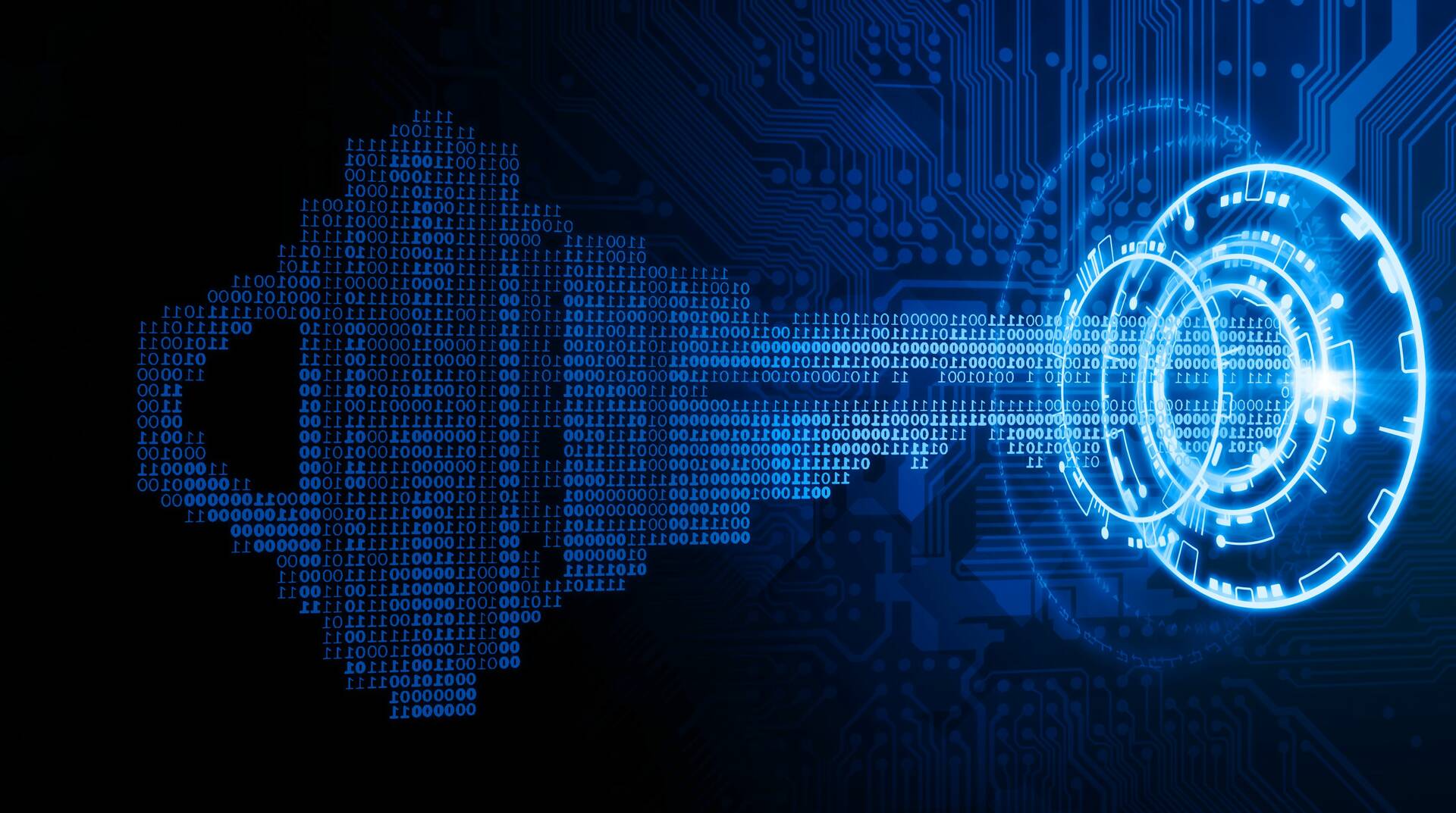 Ace Security Solutions